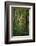 Yellowwood State Forest, Indiana, USA-Anna Miller-Framed Photographic Print