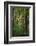 Yellowwood State Forest, Indiana, USA-Anna Miller-Framed Photographic Print