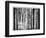 Yellowwood State Forest, Indiana, USA-Anna Miller-Framed Photographic Print