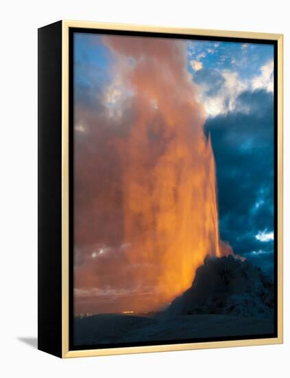 Yelowstone, Wy: White Dome Geyser Erupting with the Sun Setting Behind It-Brad Beck-Framed Premier Image Canvas