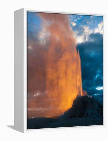 Yelowstone, Wy: White Dome Geyser Erupting with the Sun Setting Behind It-Brad Beck-Framed Premier Image Canvas