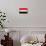 Yemen Flag Design with Wood Patterning - Flags of the World Series-Philippe Hugonnard-Framed Stretched Canvas displayed on a wall