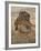 Yes, Sir!-Reuben Ward Binks-Framed Premium Giclee Print