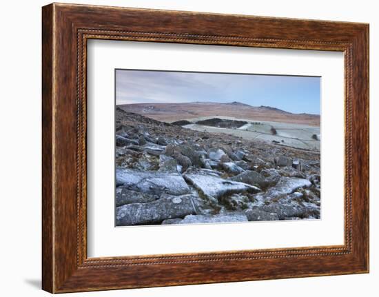 Yes Tor and High Willhays from Frosted Granite Rocks of Belstone Tor, Dartmoor National Park, Devon-Adam Burton-Framed Photographic Print