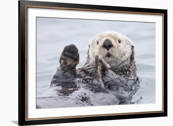 Yesterday I Caught A Fish Thiiis Big! Otter. Alaska-Roman Golubenko-Framed Giclee Print