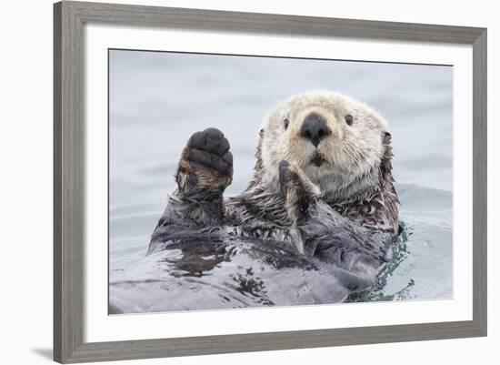 Yesterday I Caught A Fish Thiiis Big! Otter. Alaska-Roman Golubenko-Framed Giclee Print