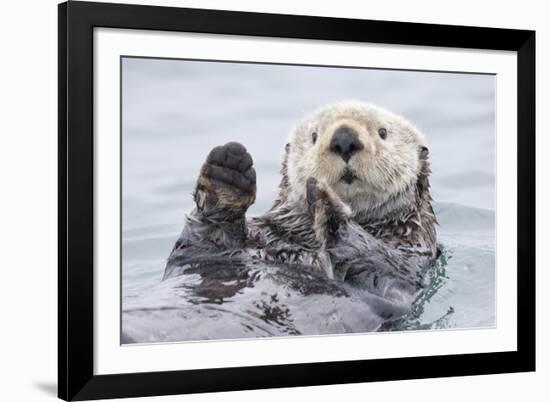 Yesterday I Caught A Fish Thiiis Big! Otter. Alaska-Roman Golubenko-Framed Giclee Print