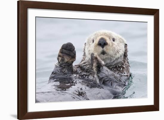 Yesterday I Caught A Fish Thiiis Big! Otter. Alaska-Roman Golubenko-Framed Giclee Print