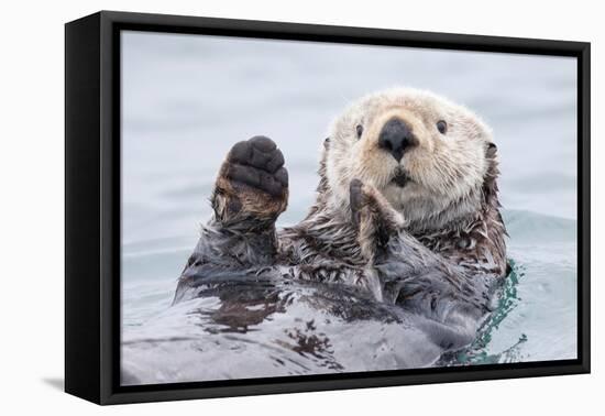 Yesterday I Caught a Fish Thiiis Big! - Otter. Alaska-Roman Golubenko-Framed Premier Image Canvas
