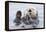 Yesterday I Caught a Fish Thiiis Big! - Otter. Alaska-Roman Golubenko-Framed Premier Image Canvas