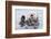 Yesterday I Caught a Fish Thiiis Big! - Otter. Alaska-Roman Golubenko-Framed Photographic Print