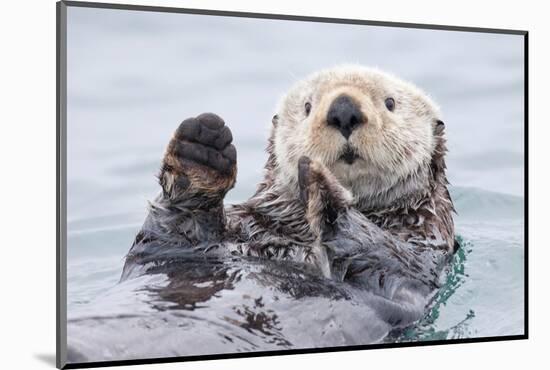 Yesterday I Caught a Fish Thiiis Big! - Otter. Alaska-Roman Golubenko-Mounted Photographic Print