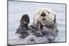Yesterday I Caught a Fish Thiiis Big! - Otter. Alaska-Roman Golubenko-Mounted Photographic Print