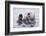 Yesterday I Caught a Fish Thiiis Big! - Otter. Alaska-Roman Golubenko-Framed Photographic Print