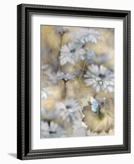 Yesterday's Garden Butterfly-Matina Theodosiou-Framed Art Print