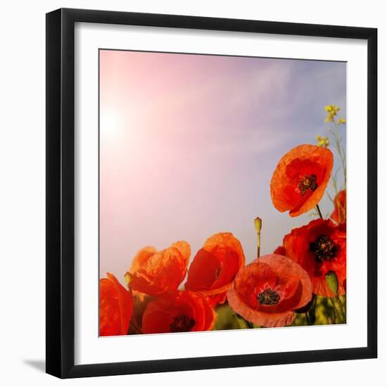 Photographic Print, , large