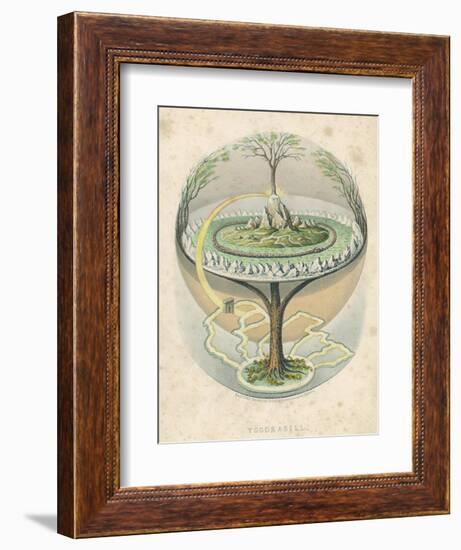 Yggdrasil the Sacred Ash the Tree of Life the Mundane Tree of Norse Mythology-null-Framed Photographic Print