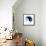 Yin And Yang-PASIEKA-Framed Premier Image Canvas displayed on a wall