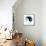 Yin And Yang-PASIEKA-Framed Premier Image Canvas displayed on a wall