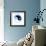 Yin And Yang-PASIEKA-Framed Premium Photographic Print displayed on a wall