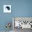 Yin And Yang-PASIEKA-Mounted Premium Photographic Print displayed on a wall