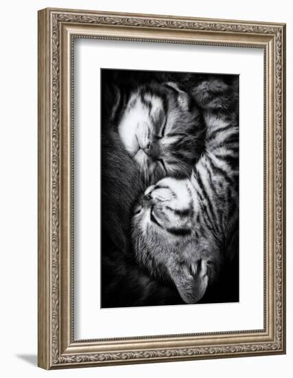 Yin and Yang-Andrea Jancova-Framed Photographic Print