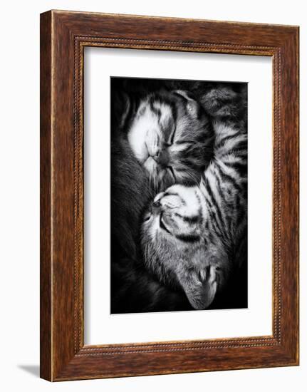 Yin and Yang-Andrea Jancova-Framed Photographic Print