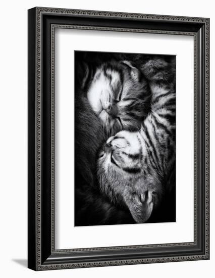 Yin and Yang-Andrea Jancova-Framed Photographic Print