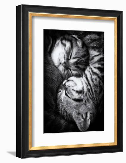 Yin and Yang-Andrea Jancova-Framed Photographic Print