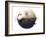 Yin and Yang-JoJoesArt-Framed Giclee Print