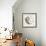 Yin Yang Discs-Jeffrey Cadwallader-Framed Art Print displayed on a wall