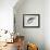 Yin Yang-Mark Adlington-Framed Giclee Print displayed on a wall