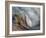 Ying and Yang-Ursula Abresch-Framed Photographic Print