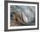 Ying and Yang-Ursula Abresch-Framed Photographic Print