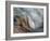 Ying and Yang-Ursula Abresch-Framed Photographic Print