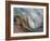 Ying and Yang-Ursula Abresch-Framed Photographic Print