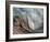 Ying and Yang-Ursula Abresch-Framed Photographic Print