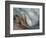 Ying and Yang-Ursula Abresch-Framed Photographic Print