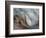 Ying and Yang-Ursula Abresch-Framed Photographic Print