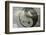 Ying and Yang-Viviane Fedieu Daniel-Framed Photographic Print