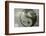 Ying and Yang-Viviane Fedieu Daniel-Framed Photographic Print