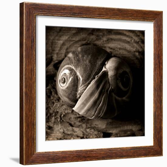 Ying-Yang-Lydia Marano-Framed Photographic Print