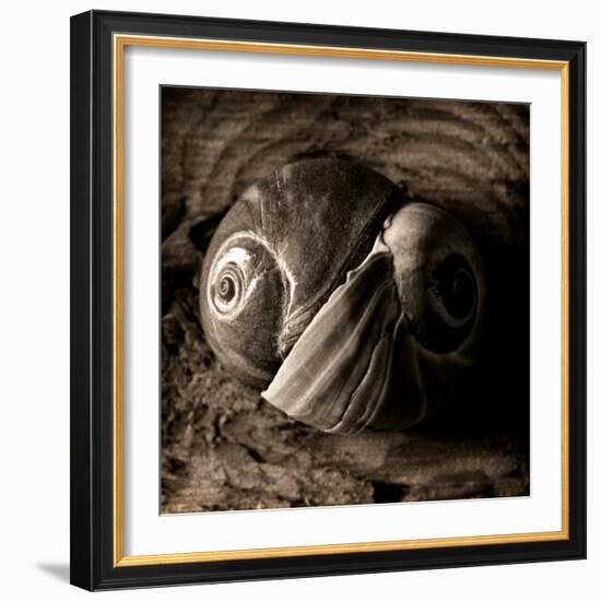 Ying-Yang-Lydia Marano-Framed Photographic Print