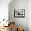 Ying-Yang-Stuart Murchison-Framed Photographic Print displayed on a wall