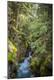 Premium Photographic Print