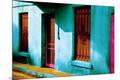 Photographic Print