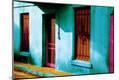 Photographic Print