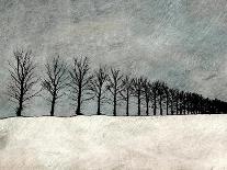 Winter Row-Ynon Mabat-Art Print