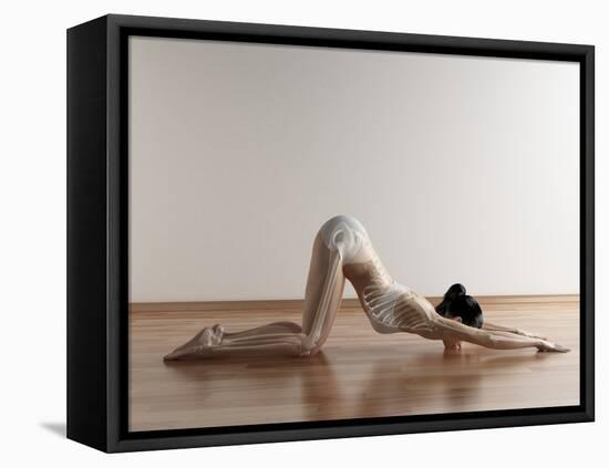 Yoga, Artwork-SCIEPRO-Framed Premier Image Canvas