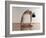 Yoga, Artwork-SCIEPRO-Framed Photographic Print